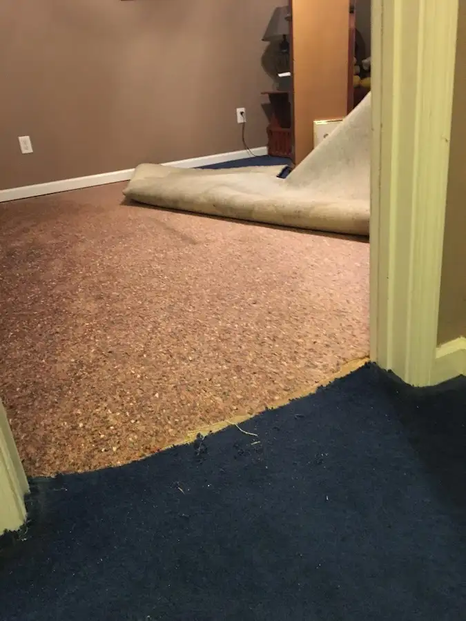 Carpet pad removal revealing water damage during Drying & Dehumidification in Tuscumbia