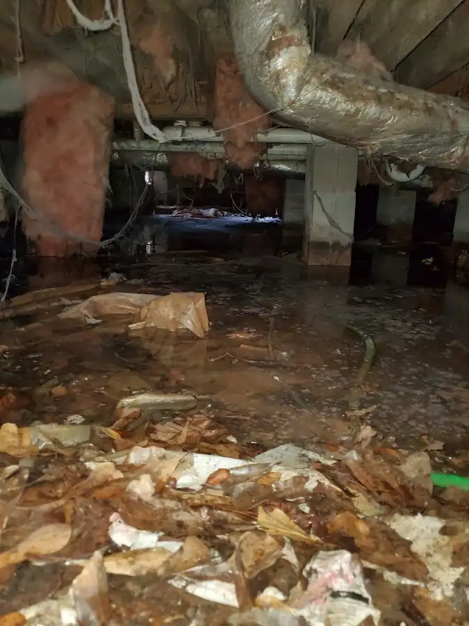 Crawl space flood assessment for Leak Detection & Repair in Tuscumbia