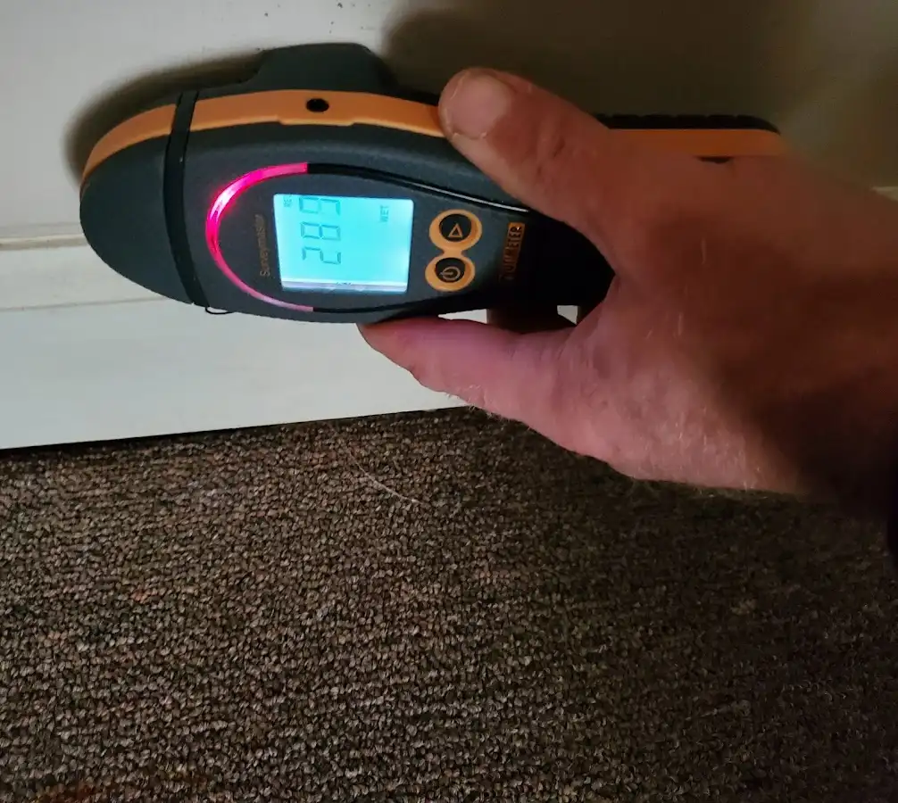 Moisture detection at baseboard during Sewage Cleanup & Sanitation in Tuscumbia